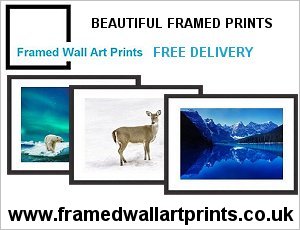 Framed Wall Art Prints